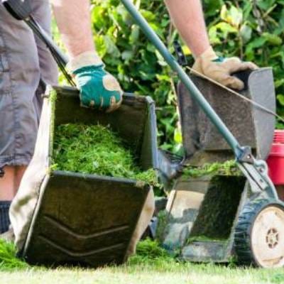 LAWN CARE